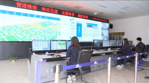 濱海區(qū) 以信息技術(shù)開(kāi)發(fā)為引擎，筑牢企業(yè)安全管理新防線